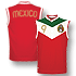 Mexico football World Cup Shirts, Mexico National Team Shirts, Mexico Home Shirt, Mexico World Cup football Jersey, Mexico football Jersey, Mexico Jersey, Mexico football Shirts, Mexico World Cup Products - Mexico Nationalteam Shirt